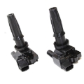 Set 2 Ignition Coils For 01-06 Hyundai Santa Fe Kia Magentis Optima 2.4L UF285